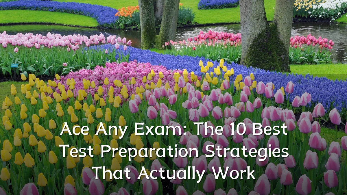 Ace Any Exam: The 10 Best Test Preparation Strategies That Actually Work