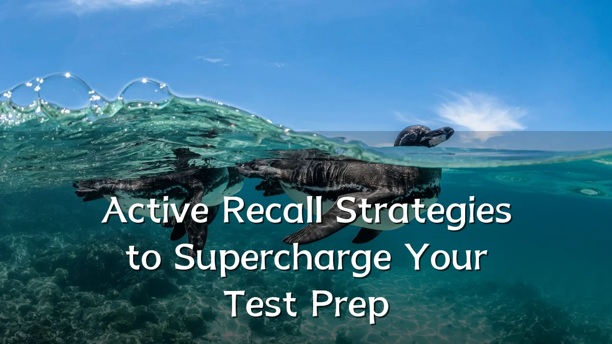 Active Recall Strategies to Supercharge Your Test Prep
