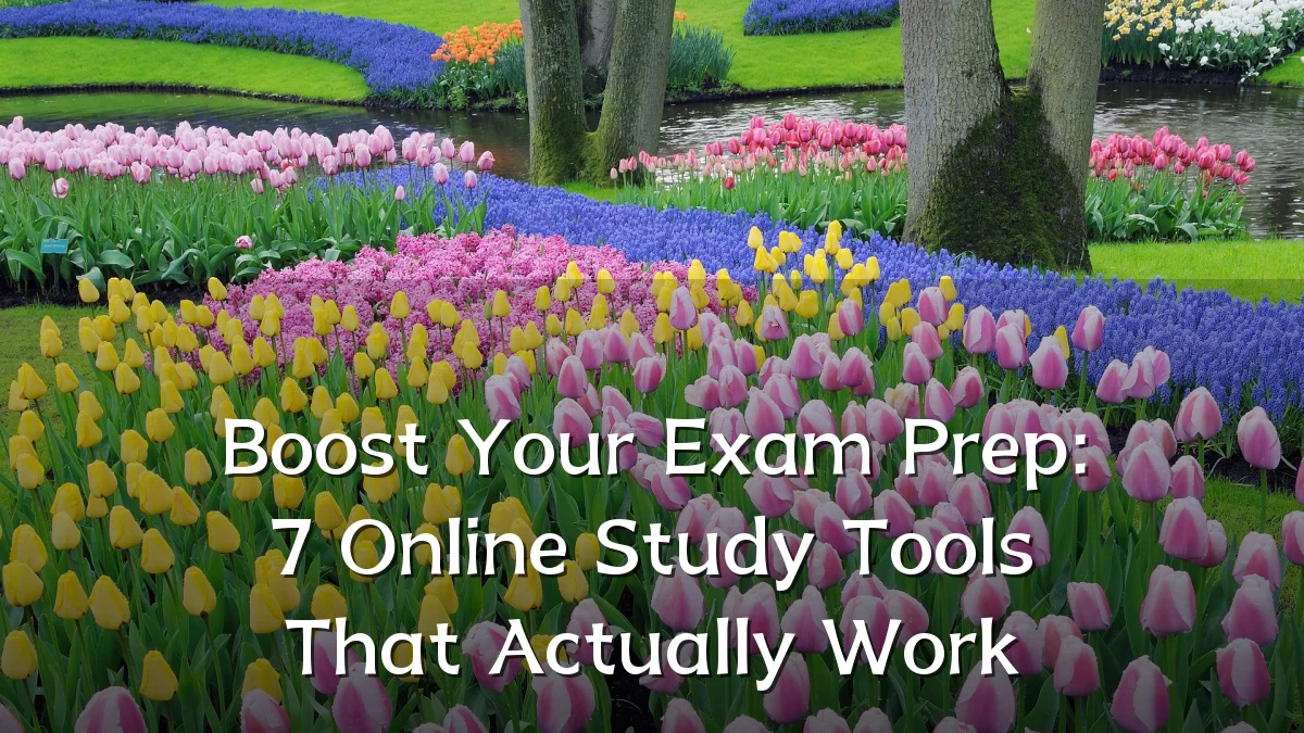 Boost Your Exam Prep: 7 Online Study Tools That Actually Work