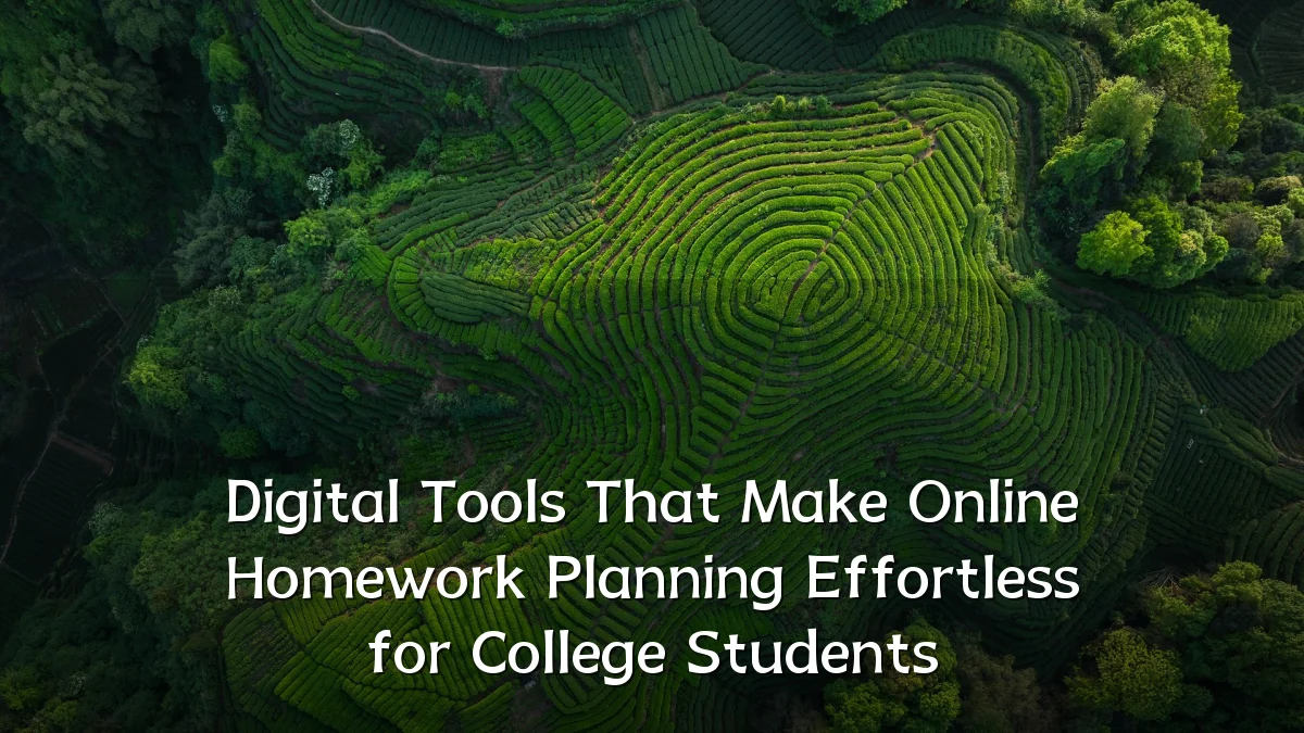 Digital Tools That Make Online Homework Planning Effortless for College Students