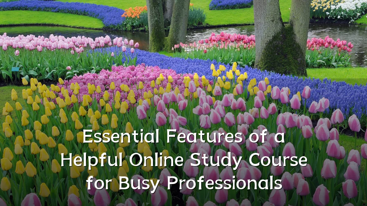 Essential Features of a Helpful Online Study Course for Busy Professionals