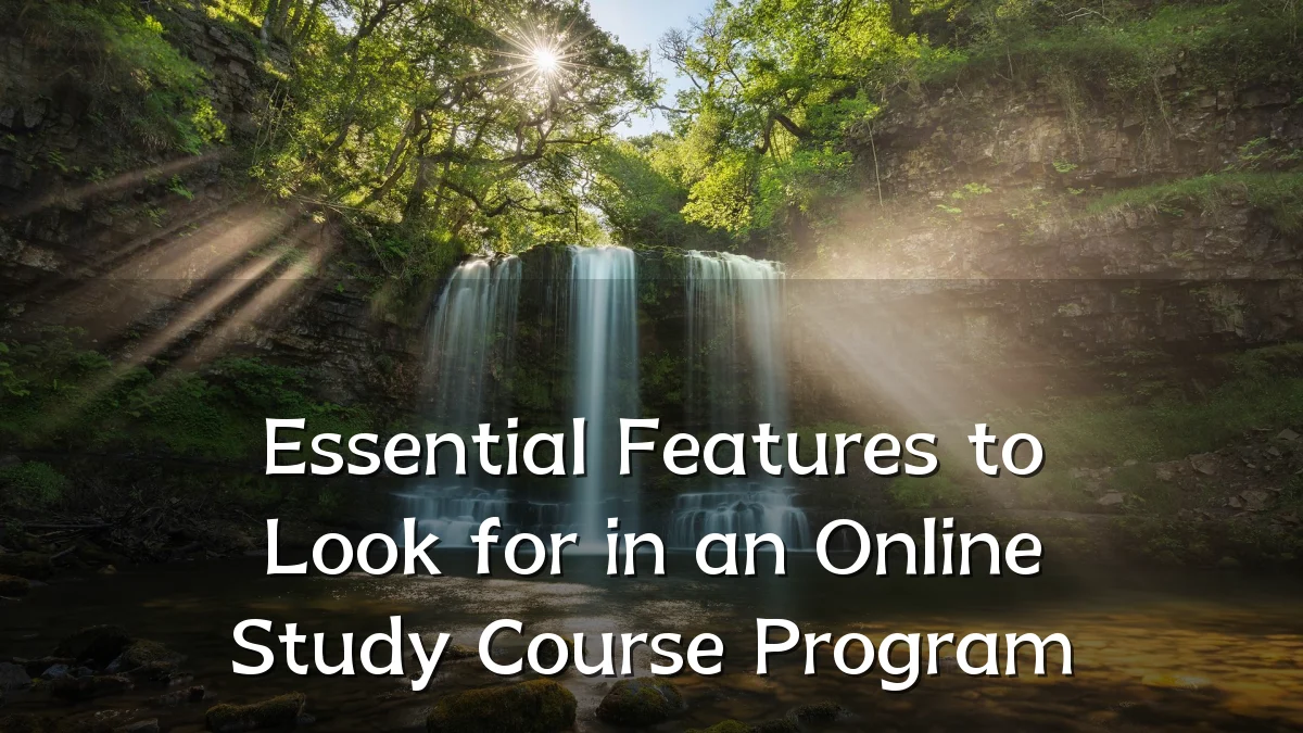 Essential Features to Look for in an Online Study Course Program