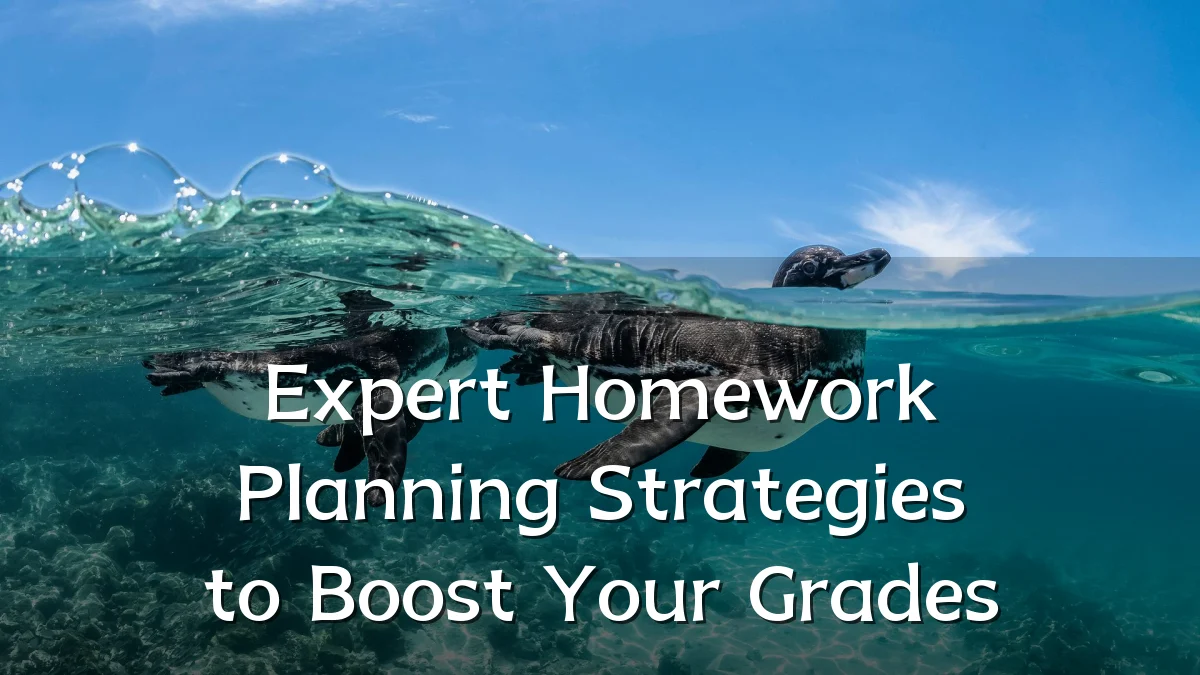 Expert Homework Planning Strategies to Boost Your Grades