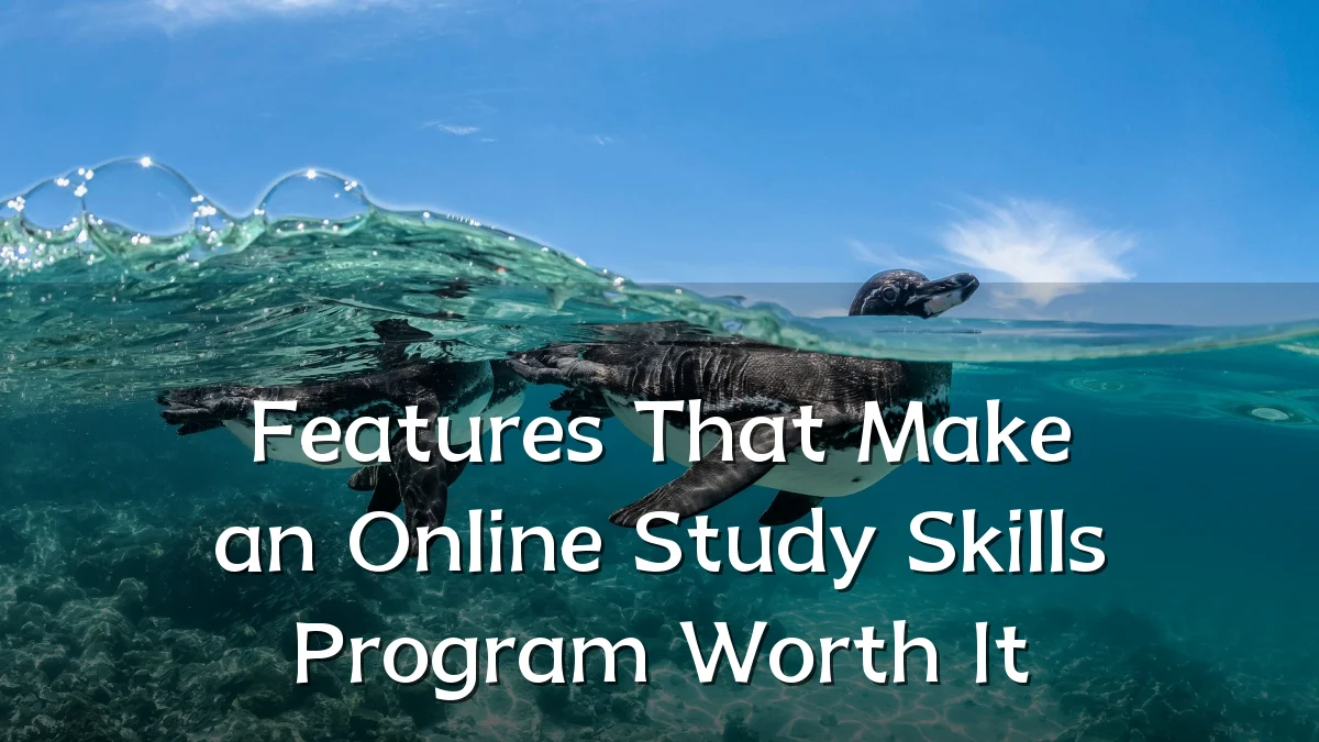 Features That Make an Online Study Skills Program Worth It