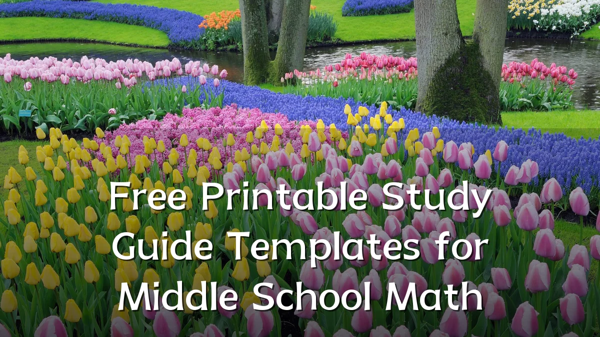 Free Printable Study Guide Templates for Middle School Math