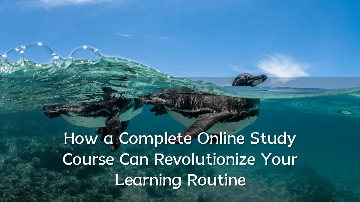How a Complete Online Study Course Can Revolutionize Your Learning Routine