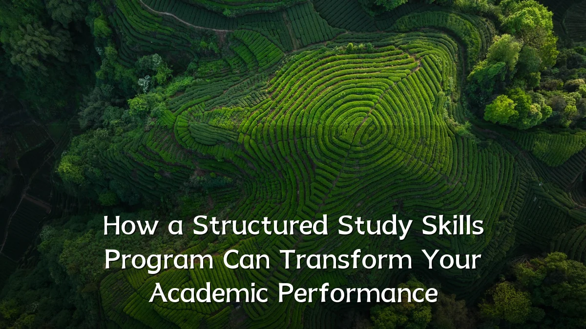 How a Structured Study Skills Program Can Transform Your Academic Performance