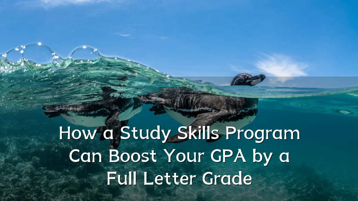 How a Study Skills Program Can Boost Your GPA by a Full Letter Grade