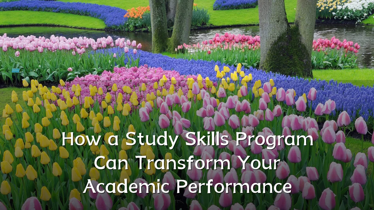 How a Study Skills Program Can Transform Your Academic Performance