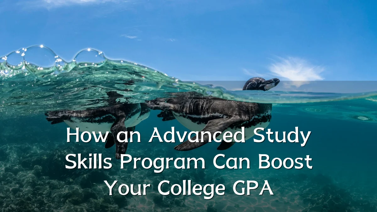 How an Advanced Study Skills Program Can Boost Your College GPA