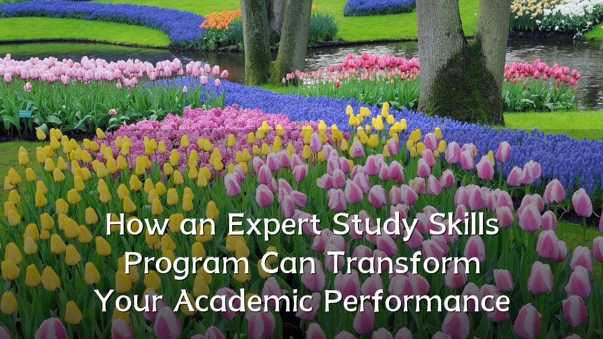 How an Expert Study Skills Program Can Transform Your Academic Performance