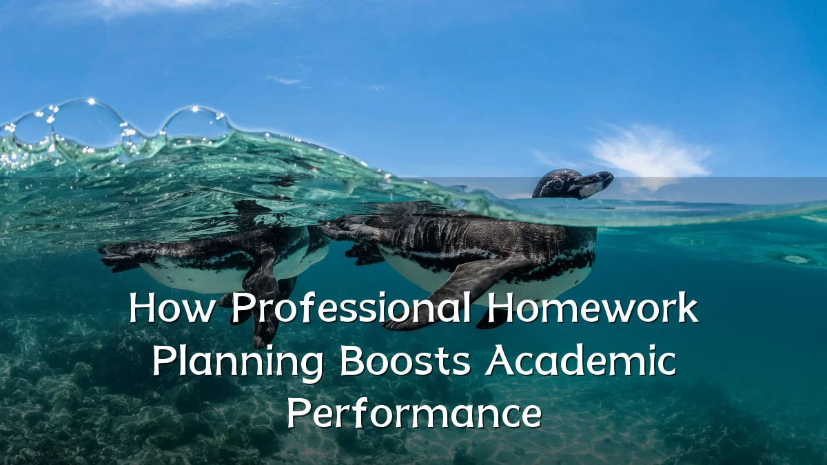 How Professional Homework Planning Boosts Academic Performance