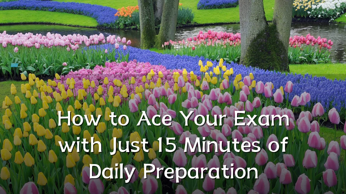 How to Ace Your Exam with Just 15 Minutes of Daily Preparation