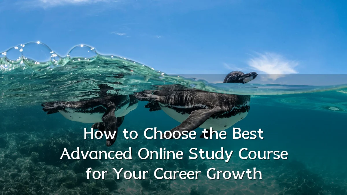 How to Choose the Best Advanced Online Study Course for Your Career Growth