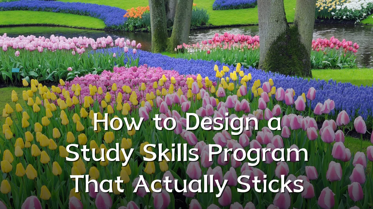 How to Design a Study Skills Program That Actually Sticks