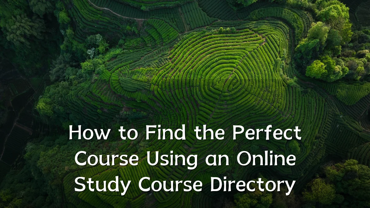 How to Find the Perfect Course Using an Online Study Course Directory