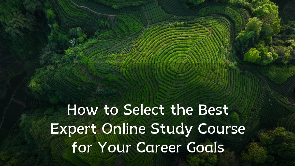 How to Select the Best Expert Online Study Course for Your Career Goals