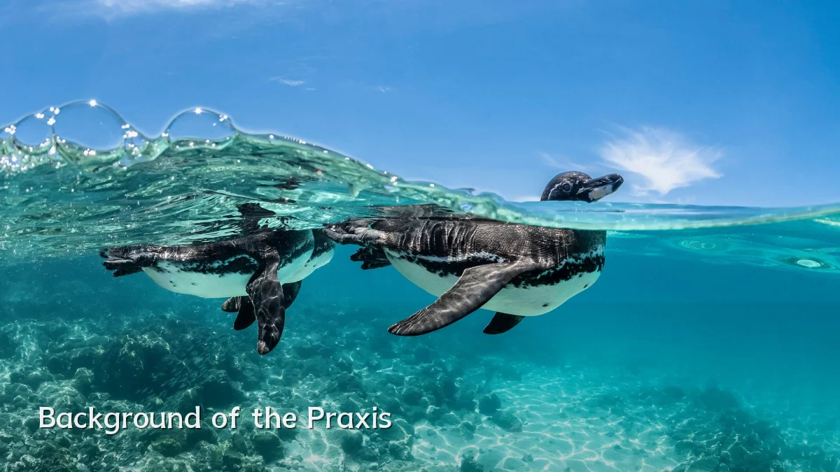 Background of the Praxis
