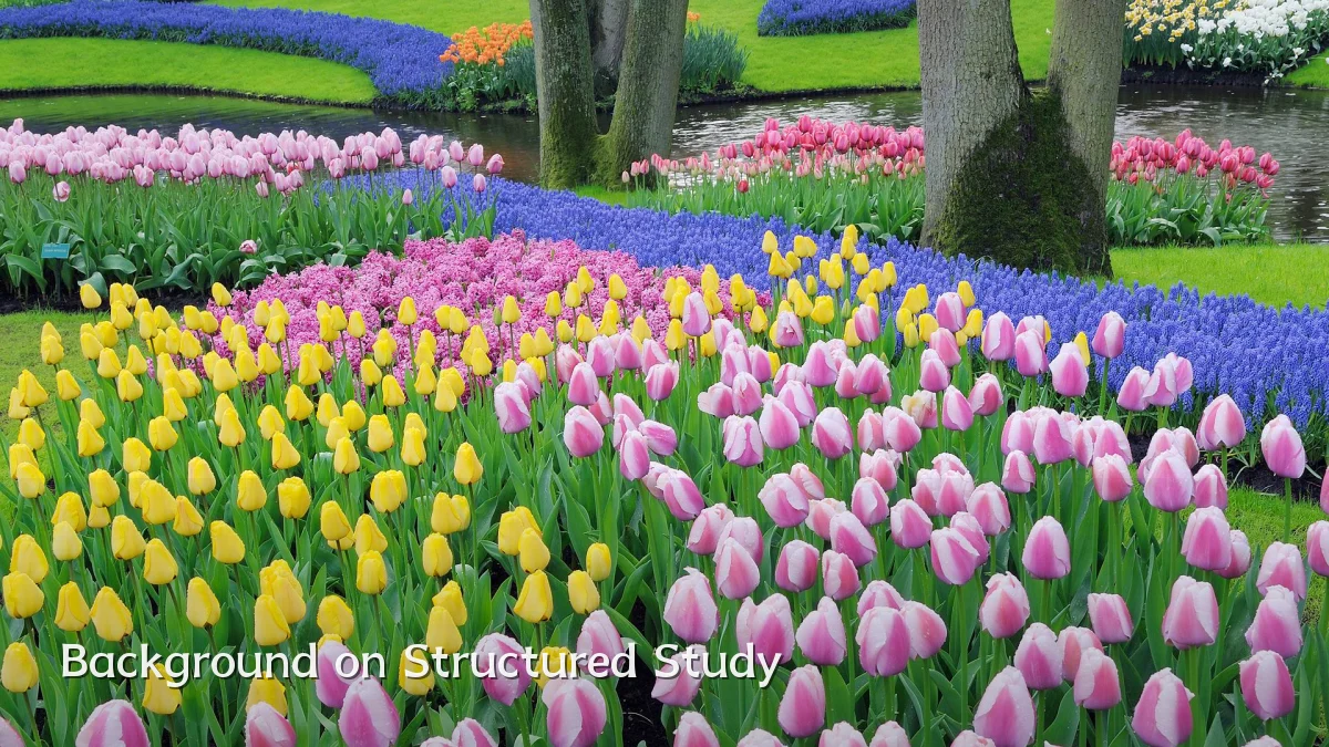 Background on Structured Study