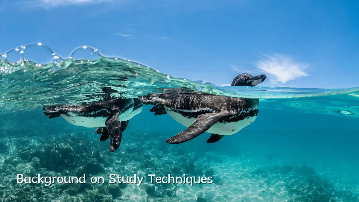 Background on Study Techniques