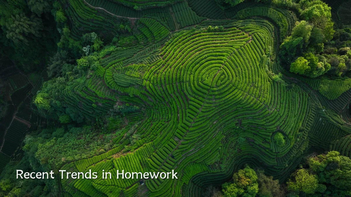 Recent Trends in Homework