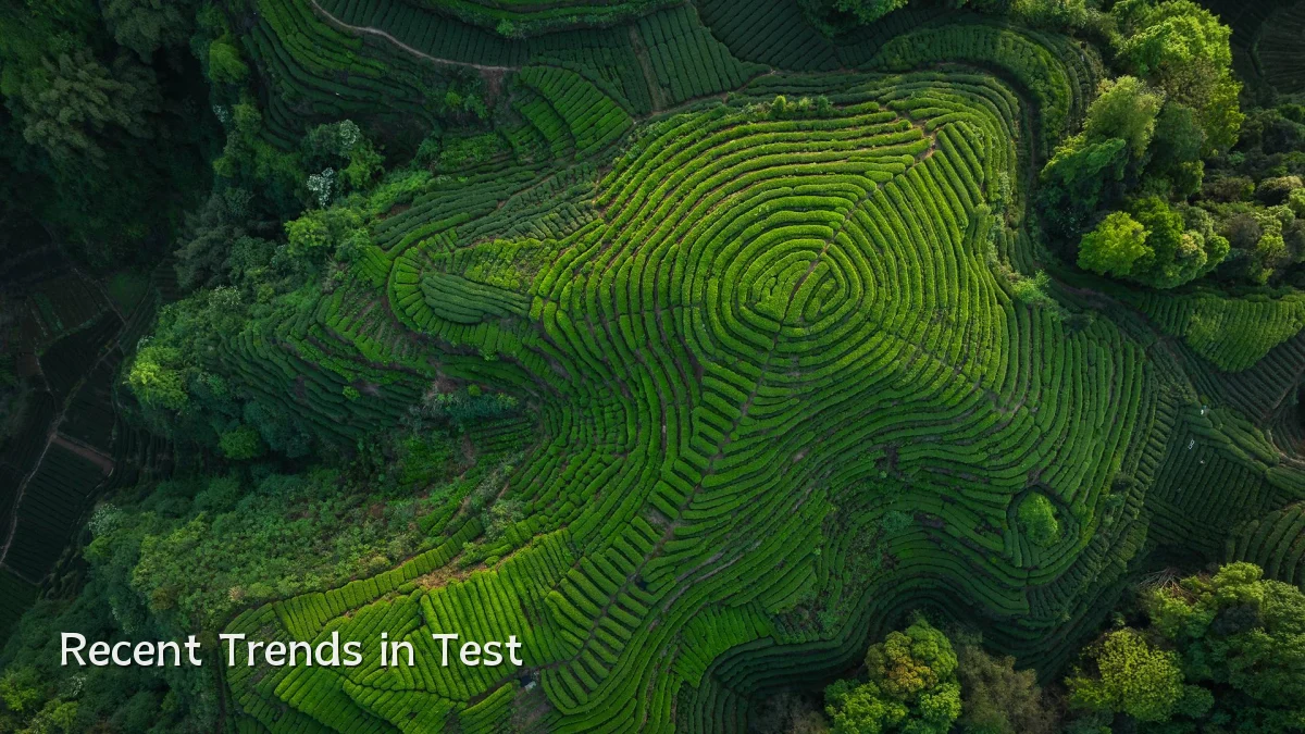 Recent Trends in Test