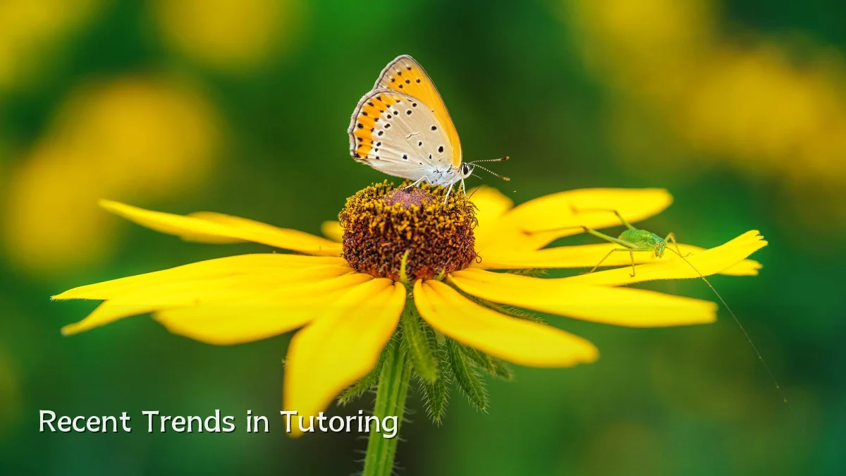 Recent Trends in Tutoring