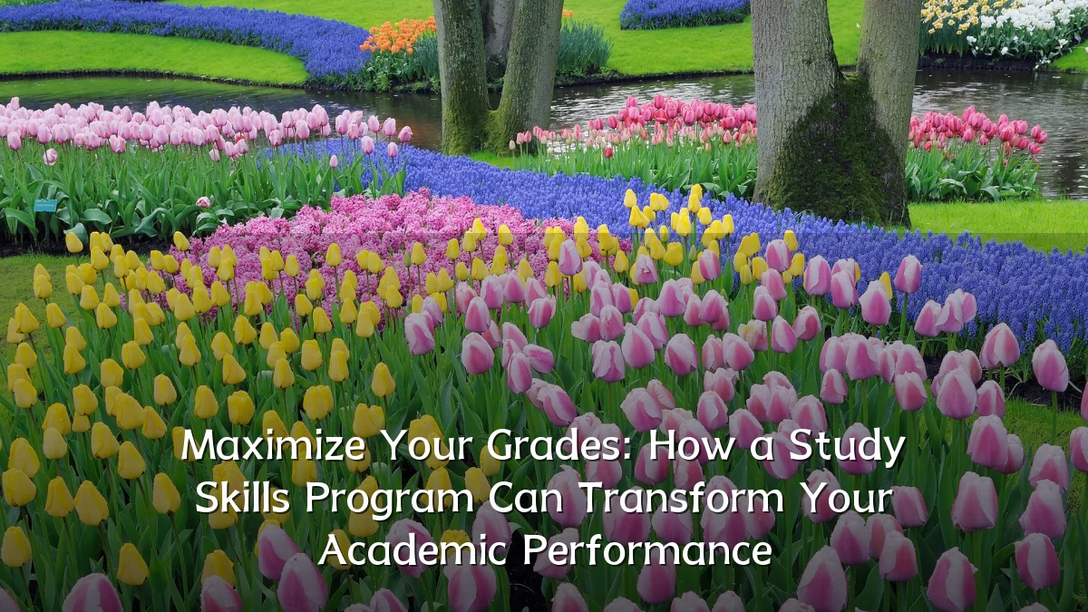 Maximize Your Grades: How a Study Skills Program Can Transform Your Academic Performance