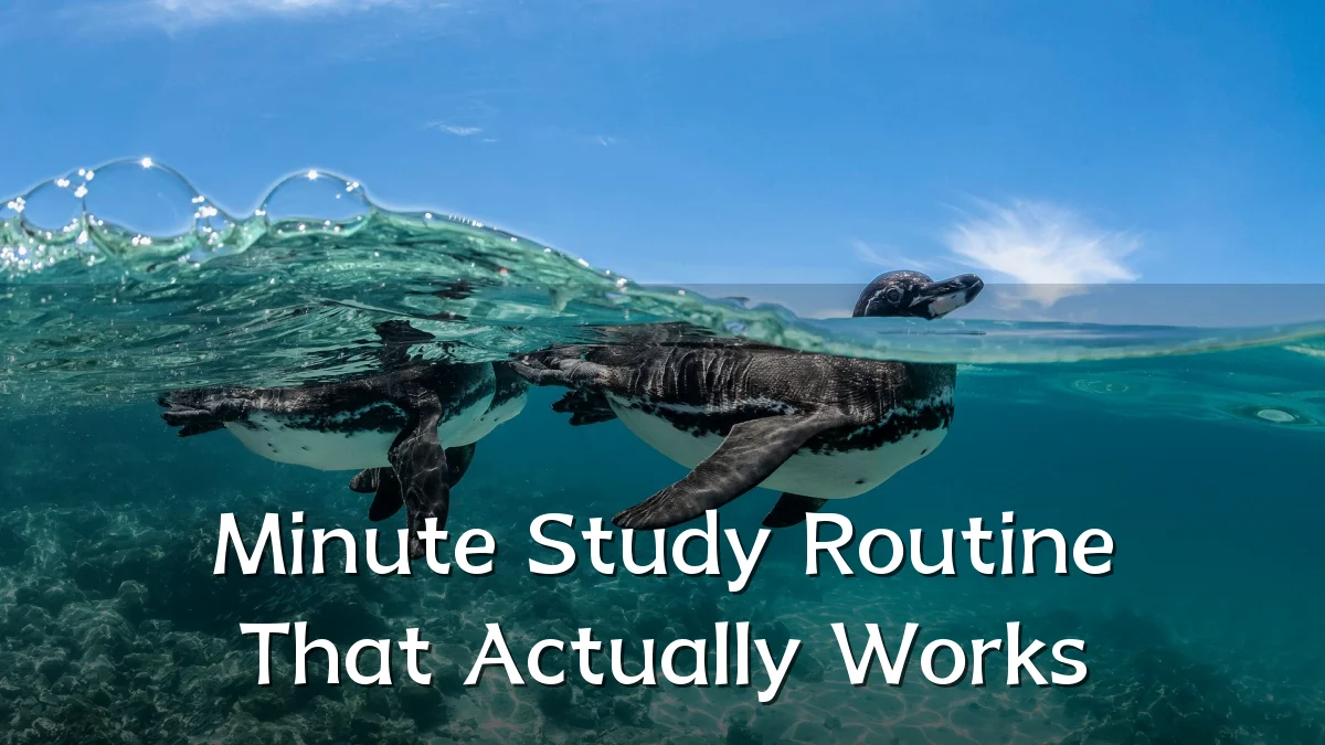 Minute Study Routine That Actually Works