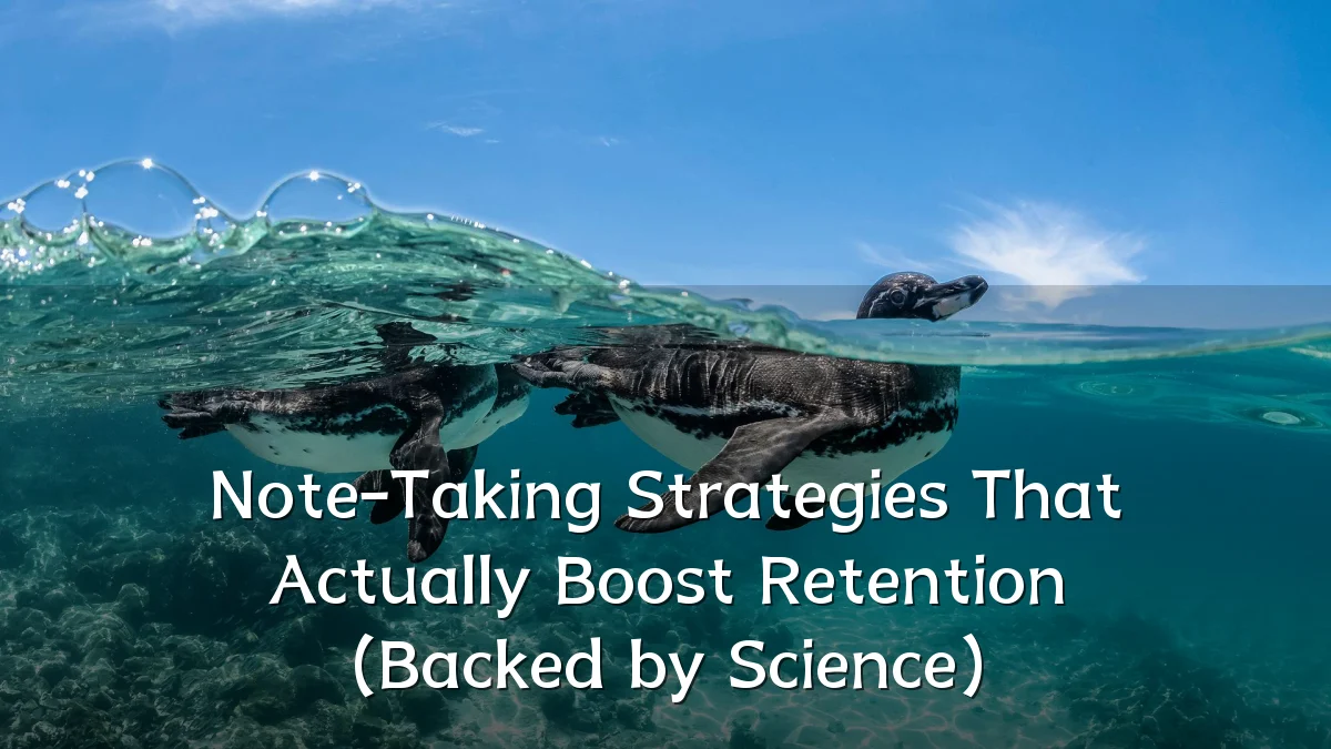 Note-Taking Strategies That Actually Boost Retention (Backed by Science)
