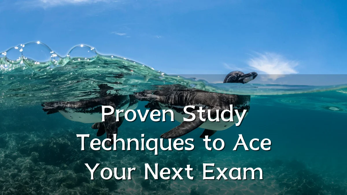 Proven Study Techniques to Ace Your Next Exam