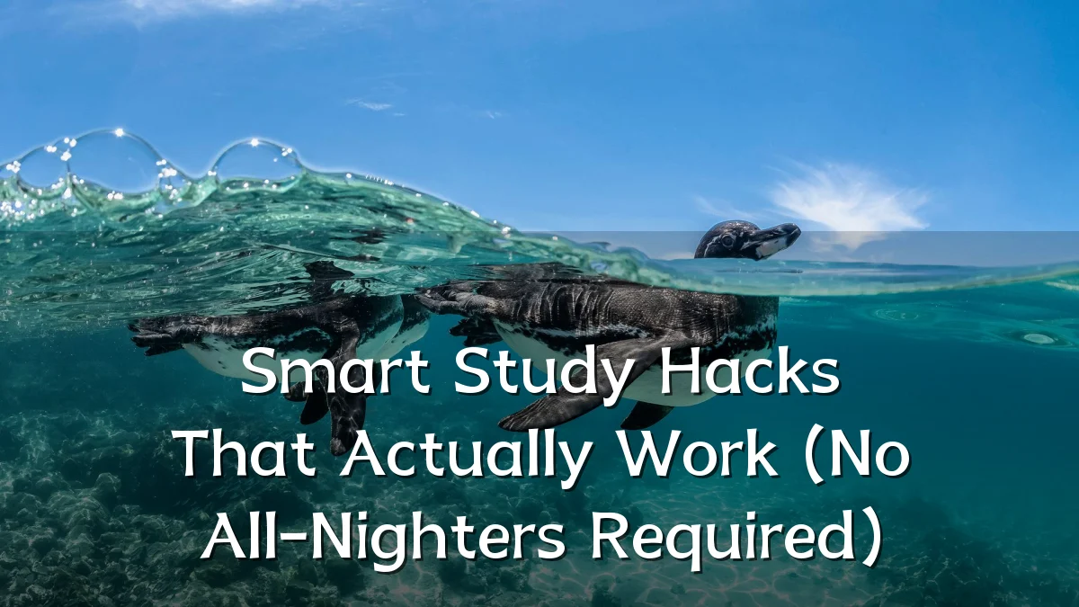 Smart Study Hacks That Actually Work (No All-Nighters Required)