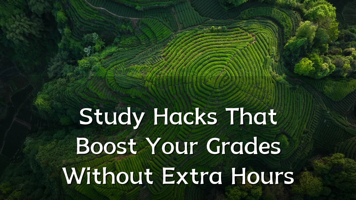 Study Hacks That Boost Your Grades Without Extra Hours