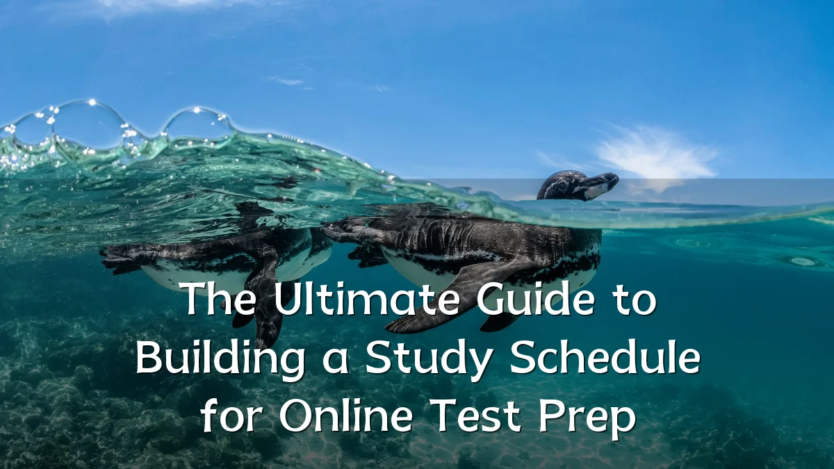 The Ultimate Guide to Building a Study Schedule for Online Test Prep