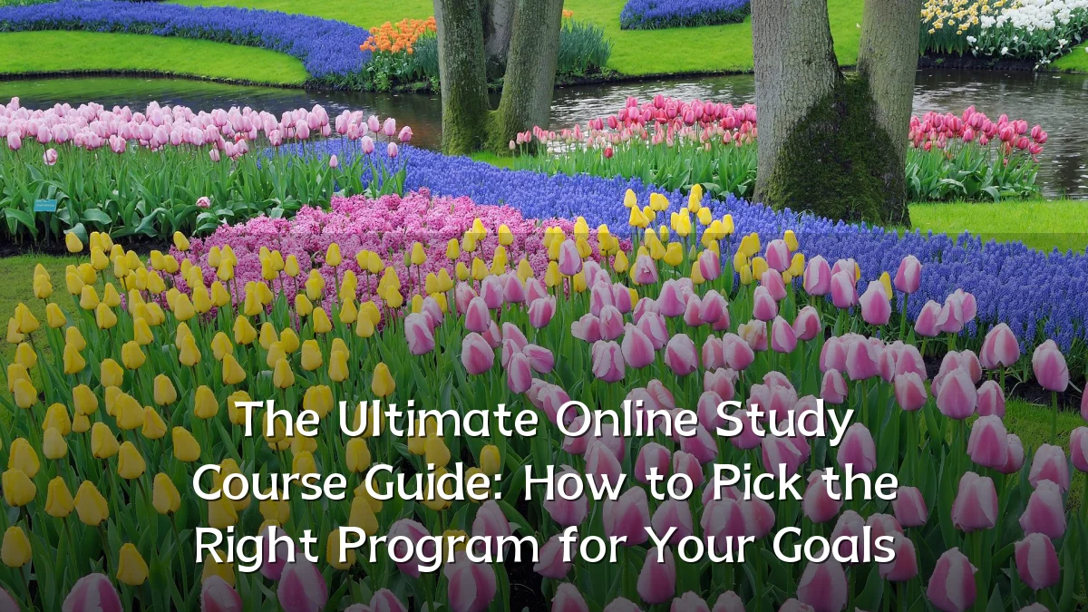 The Ultimate Online Study Course Guide: How to Pick the Right Program for Your Goals