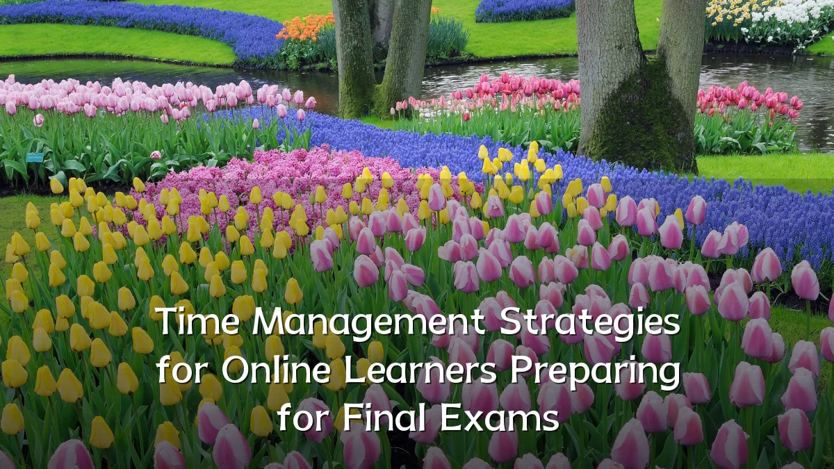 Time Management Strategies for Online Learners Preparing for Final Exams