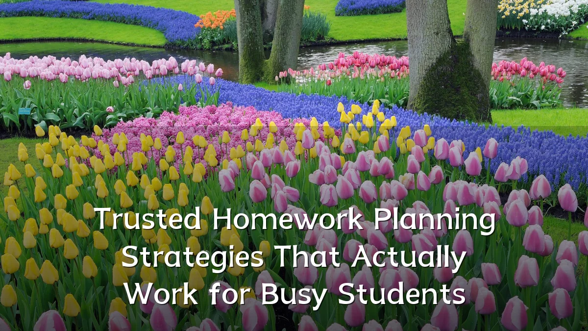 Trusted Homework Planning Strategies That Actually Work for Busy Students