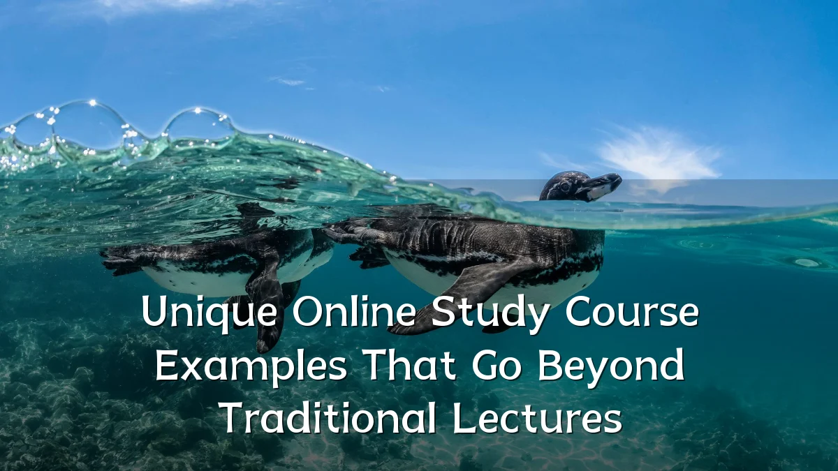 Unique Online Study Course Examples That Go Beyond Traditional Lectures