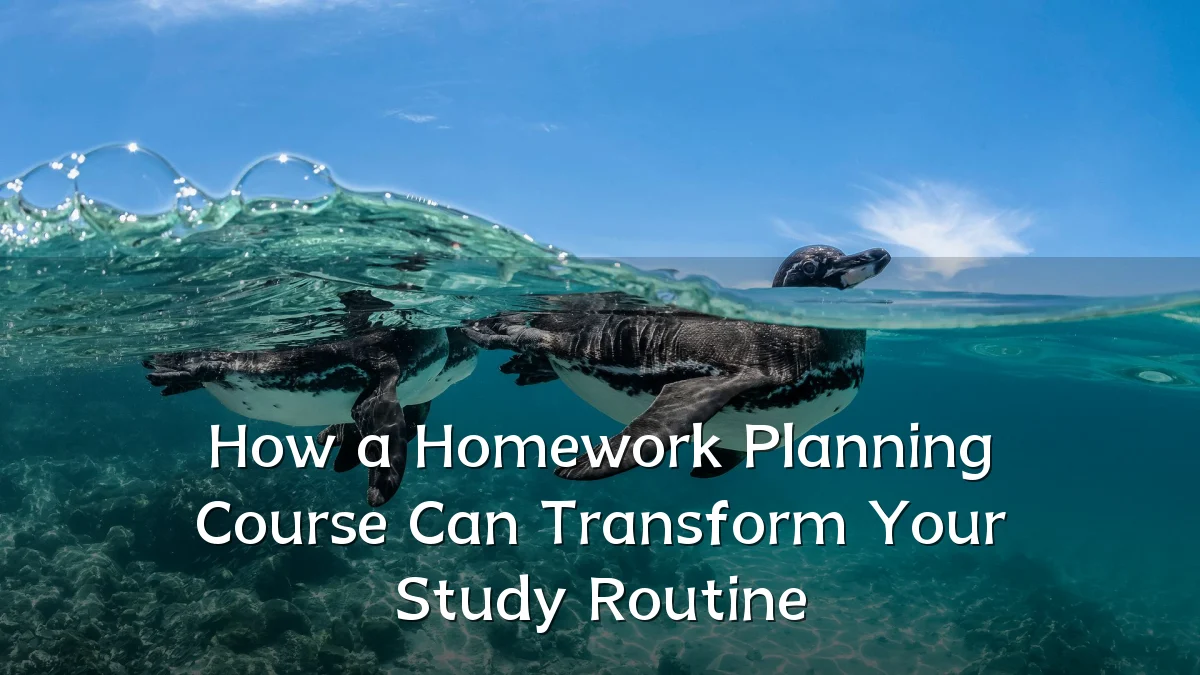 How a Homework Planning Course Can Transform Your Study Routine