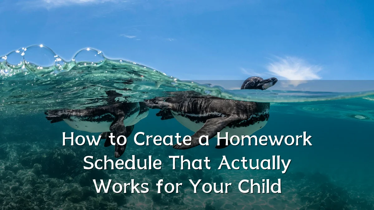 How to Create a Homework Schedule That Actually Works for Your Child