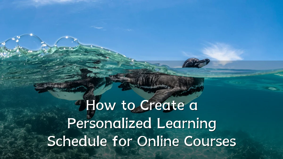 How to Create a Personalized Learning Schedule for Online Courses