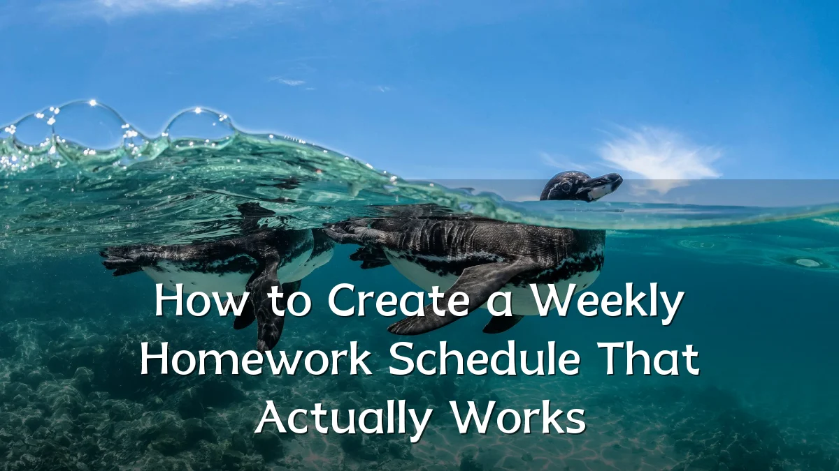 How to Create a Weekly Homework Schedule That Actually Works