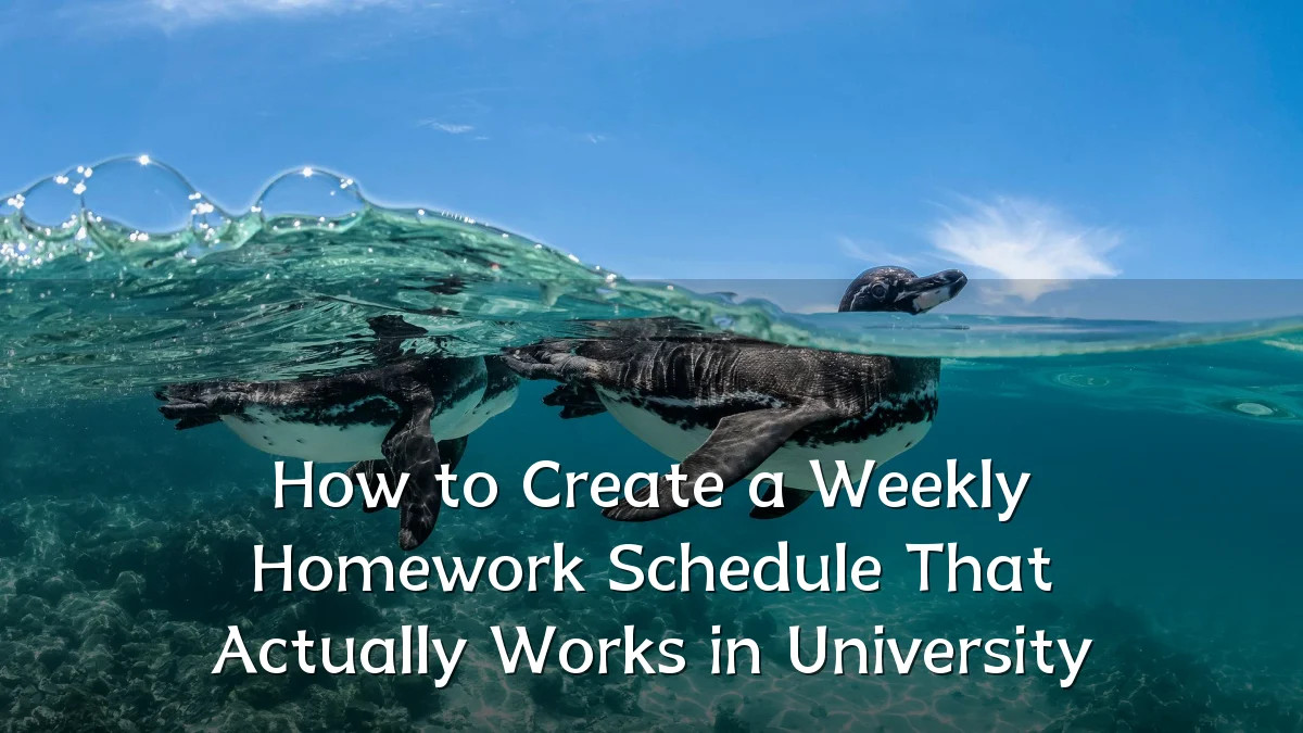 How to Create a Weekly Homework Schedule That Actually Works in University