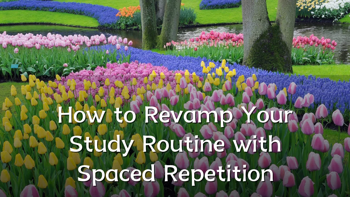 How to Revamp Your Study Routine with Spaced Repetition