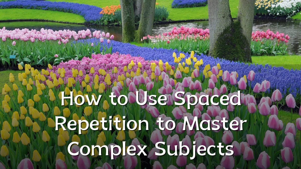 How to Use Spaced Repetition to Master Complex Subjects