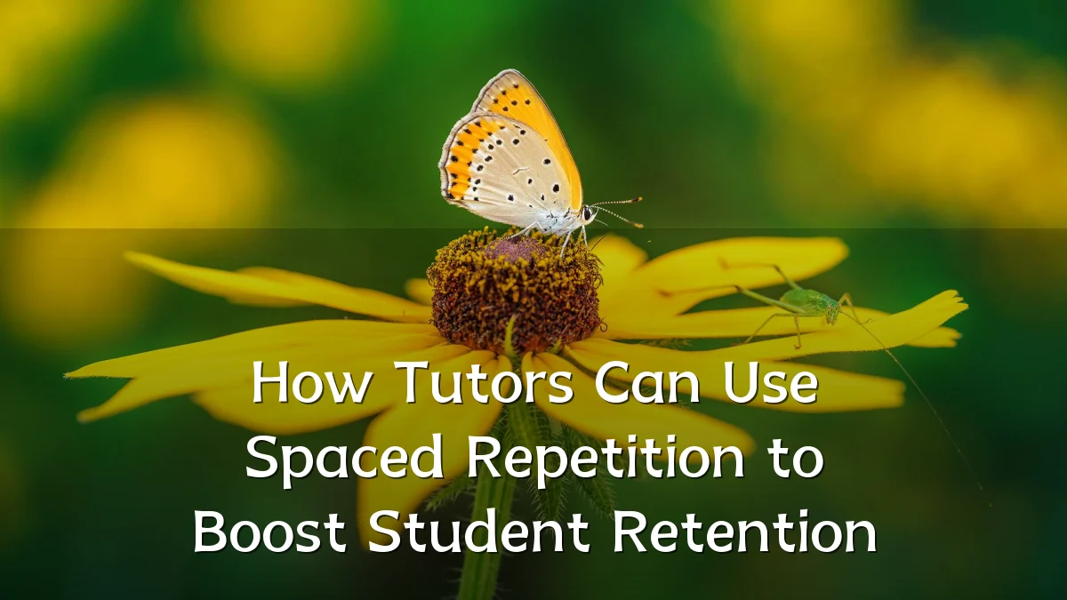 How Tutors Can Use Spaced Repetition to Boost Student Retention