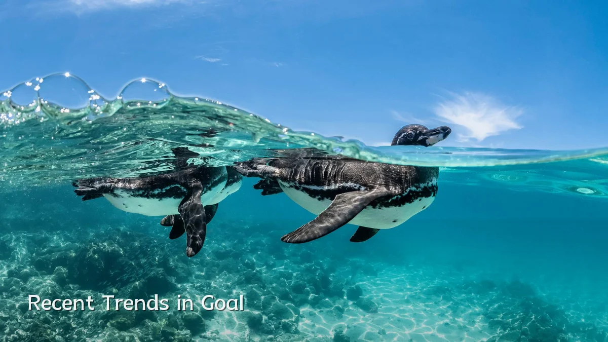 Recent Trends in Goal