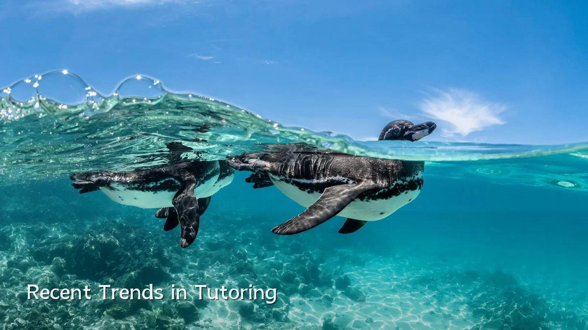 Recent Trends in Tutoring