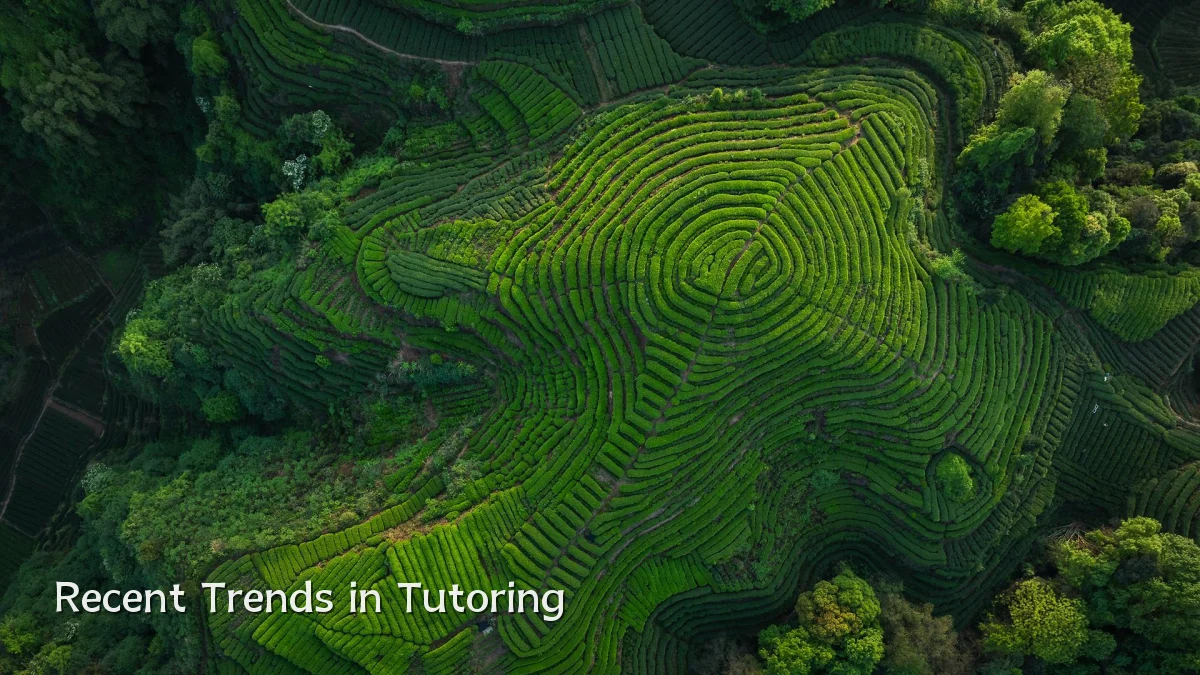 Recent Trends in Tutoring