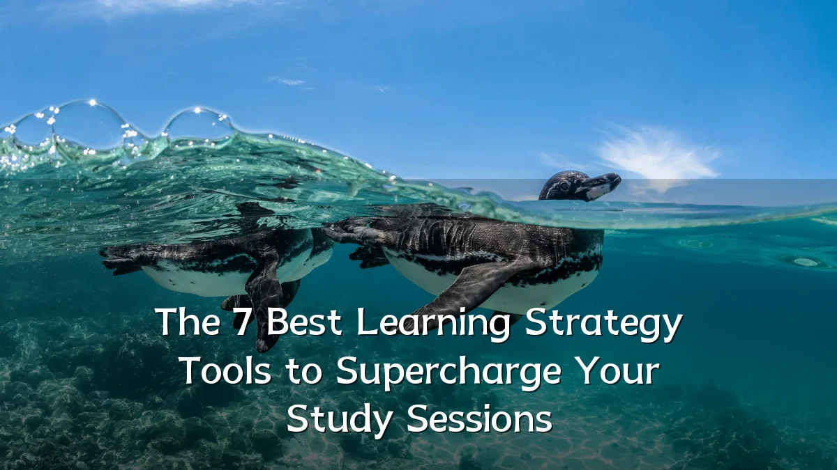 The 7 Best Learning Strategy Tools to Supercharge Your Study Sessions